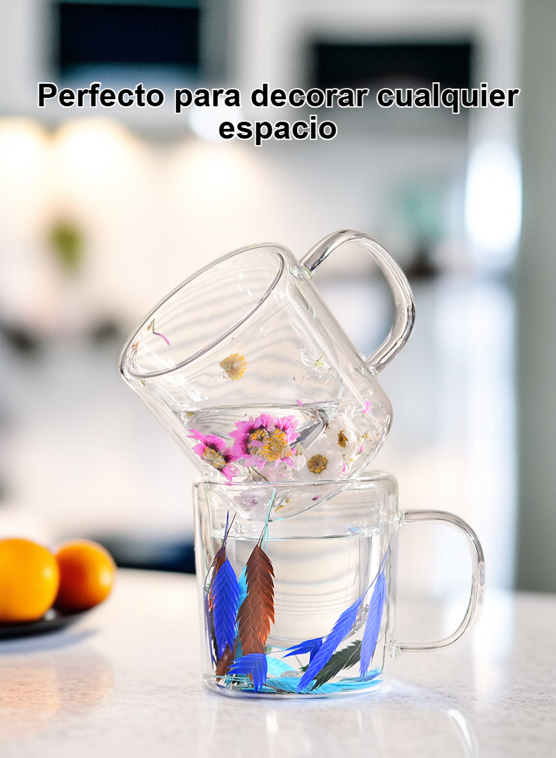 Vaso de vidrio de doble pared para flores secas