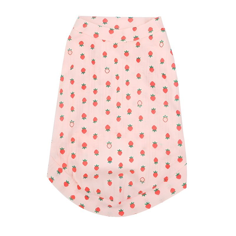 เสื้อผ้ากันขนร่วงสำหรับแมว