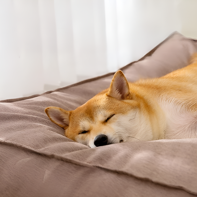 방수 및 세탁 가능한 강아지 매트