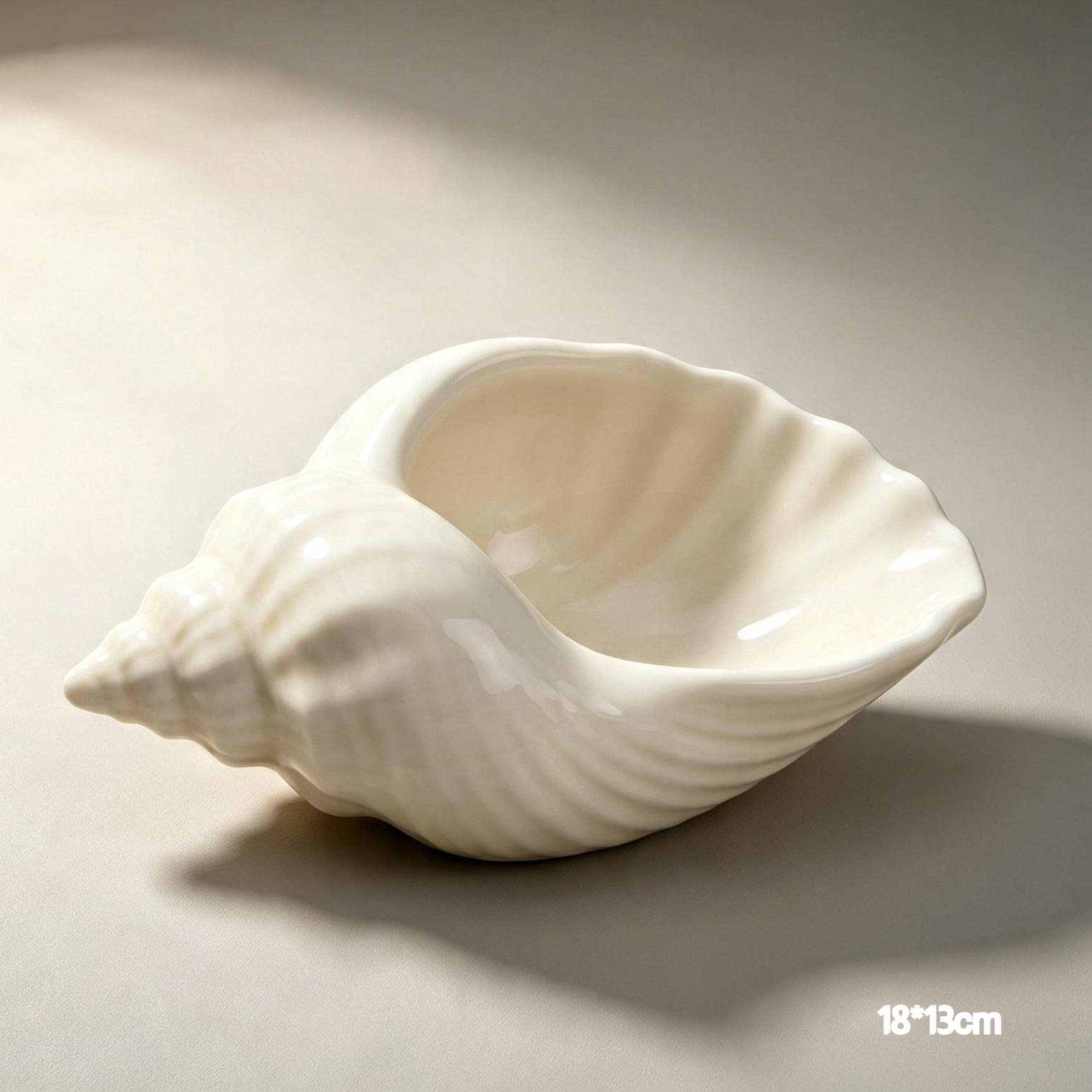 Creative Conch Storage Container on a modern desk