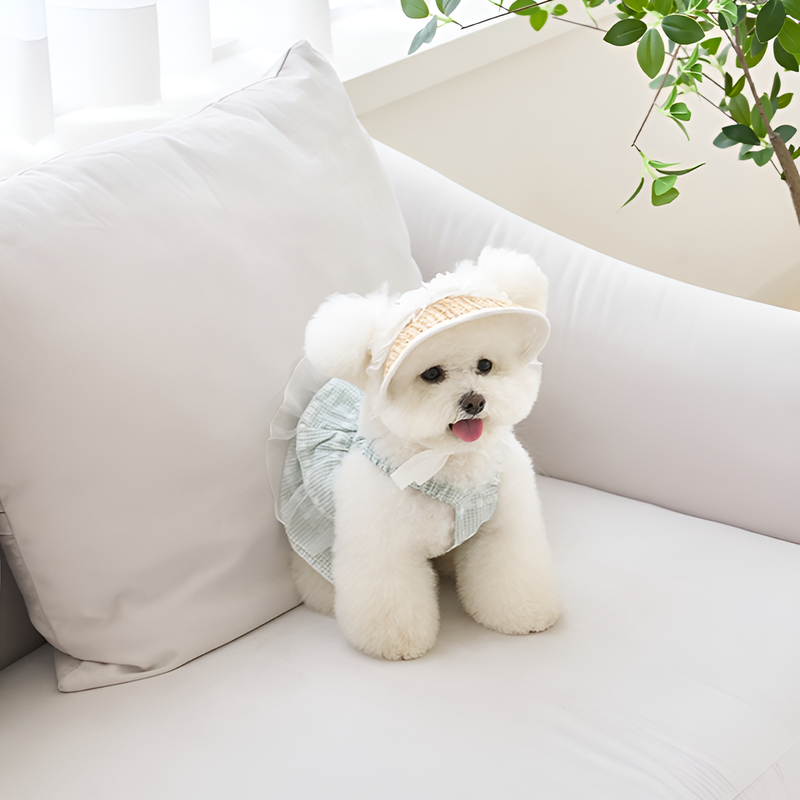 犬や猫に適した麦わら編みの豚鼻帽子