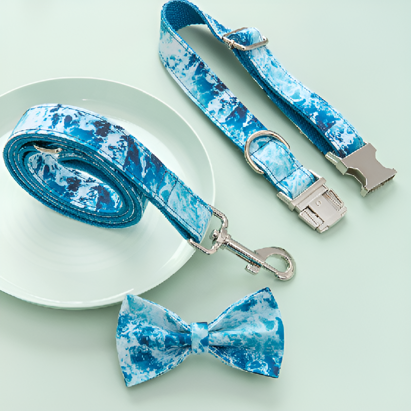 ชุดสายจูงและปลอกคอสำหรับสุนัข