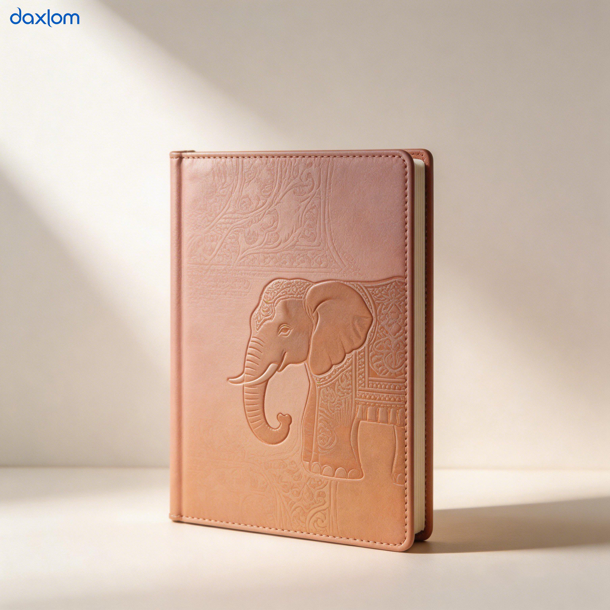 สมุดโน้ตหนังสุดหรู (แพ็ค 10 เล่ม)