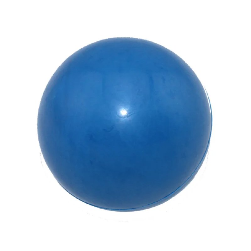 애완동물이 장난감 개공을 씹다