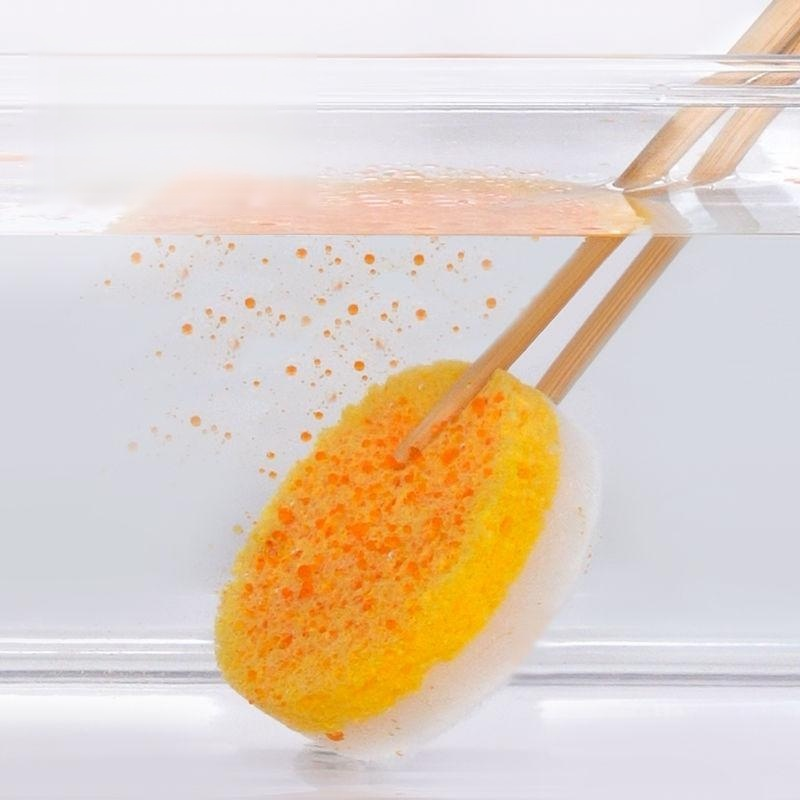긴 손잡이 목재 펄프 면화통 솔