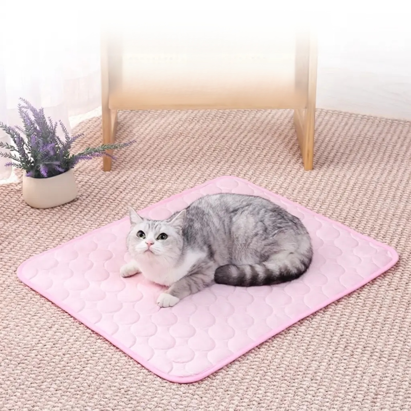 Pet Cooling Sleeping Mat