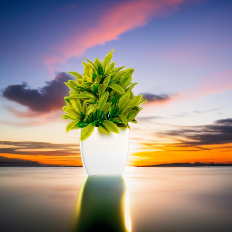 クリエイティブ鉢植え風テーブル