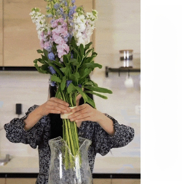 Soporte de tallo espiral para arreglos florales