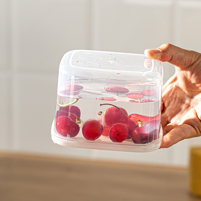  Leak-proof Fresh Keeper for Green Onion, Ginger, and Garlic