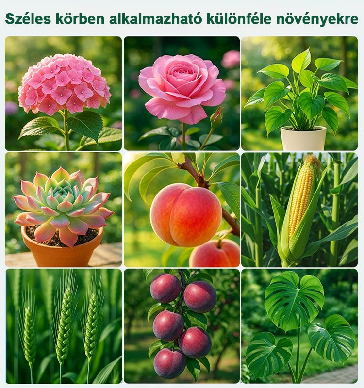 【Növényorvos】Biológiai és környezetbarát védekezés a növényi kártevők és betegségek ellen.