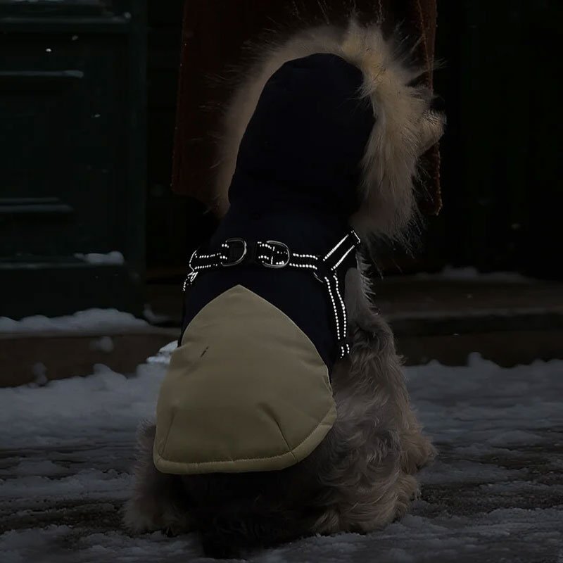 子犬の防寒突撃衣