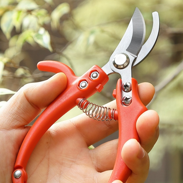 Gartenbauschere für Grünpflanzen, geeignet zum Pfropfen und Beschneiden