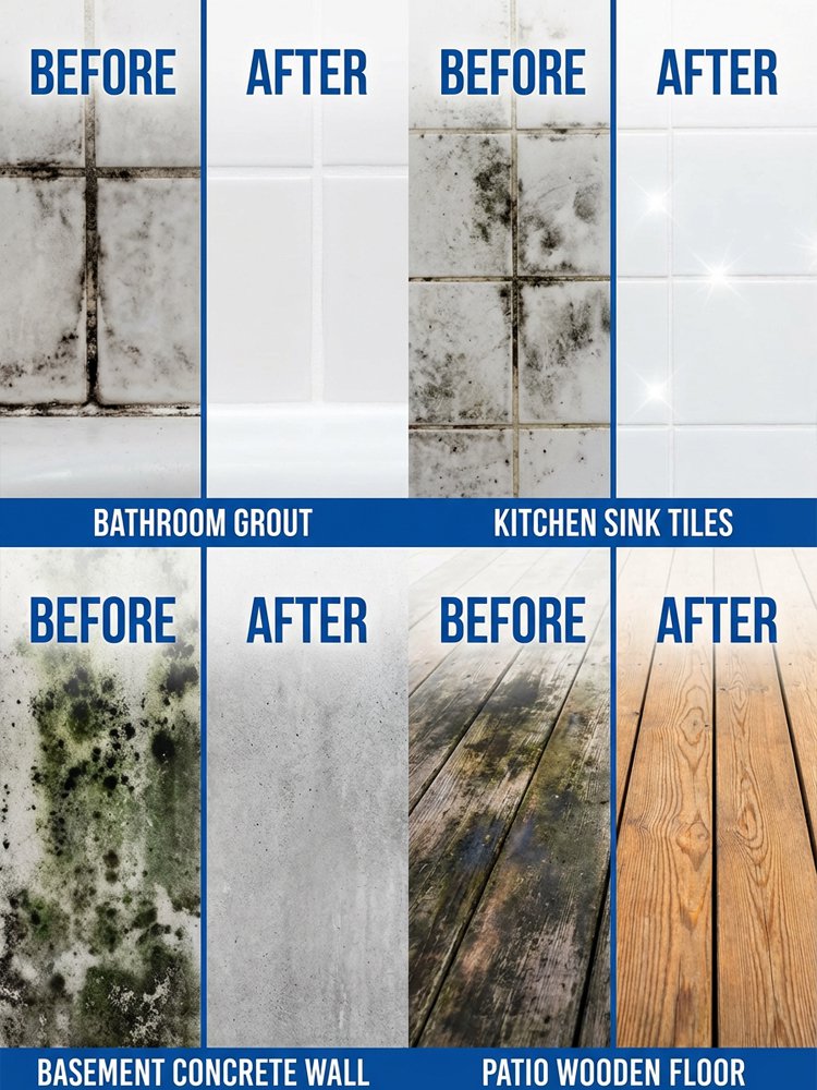 1 Second Wall Mold Removal