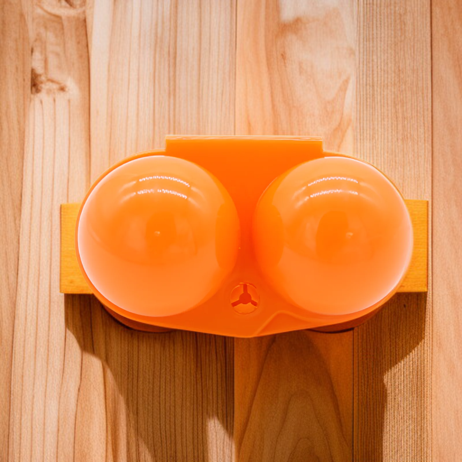 露營野餐專用雞蛋保護盒