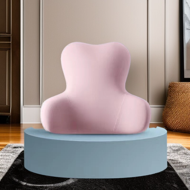 차량용 다기능 목베개 허리쿠션 목 허리 보호 쿠션