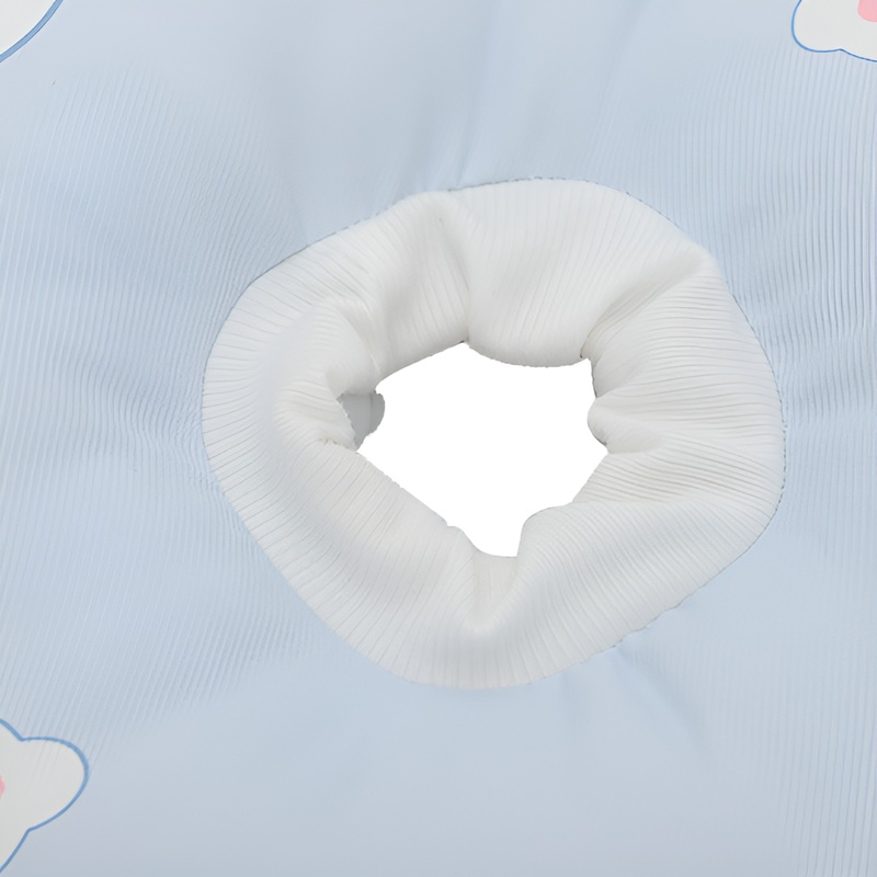 반려동물 핥기 방지 목걸이