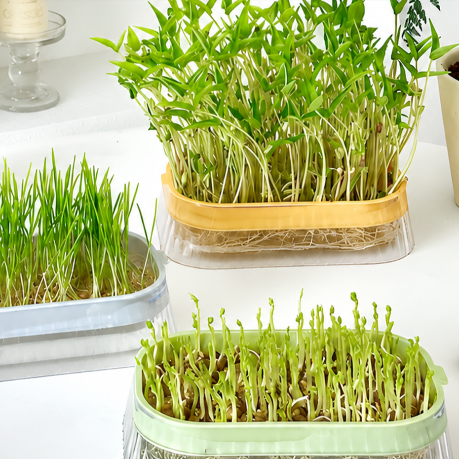 Bean Sprout Hydroponic Planter