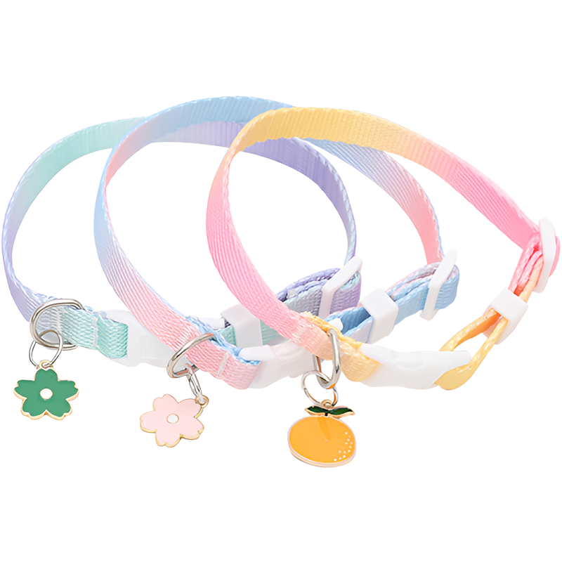 ปลอกคอพิเศษสำหรับลูกแมว