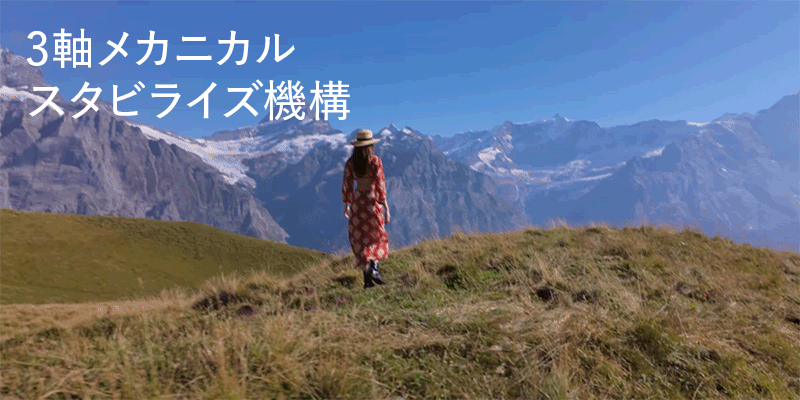 op3_3.gif
