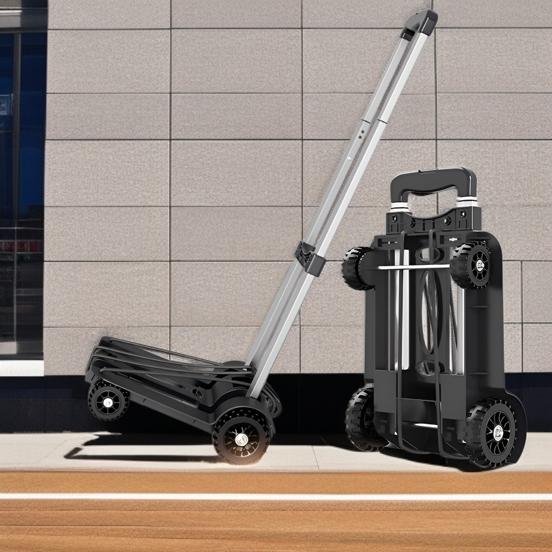 Multipurpose luggage carrier for express delivery