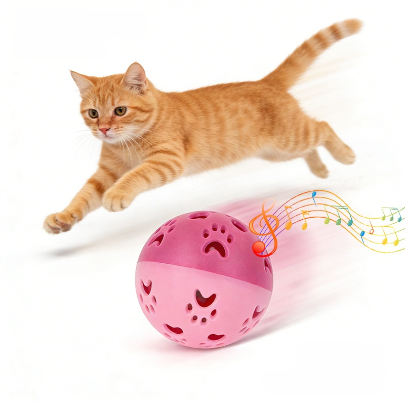 Hohlkugel-Katzen-Spielball