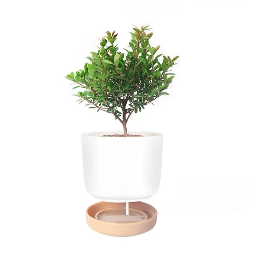 陶器の植木鉢