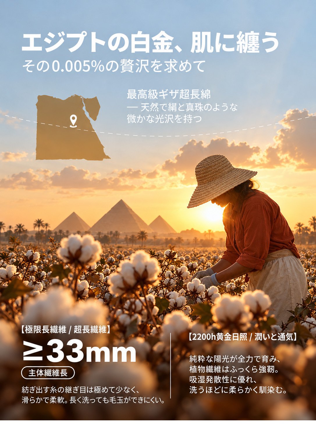 【送料無料・上質】Monolly プレミアムセットアップ | プラチナタッチ繊維・高見え・快適
