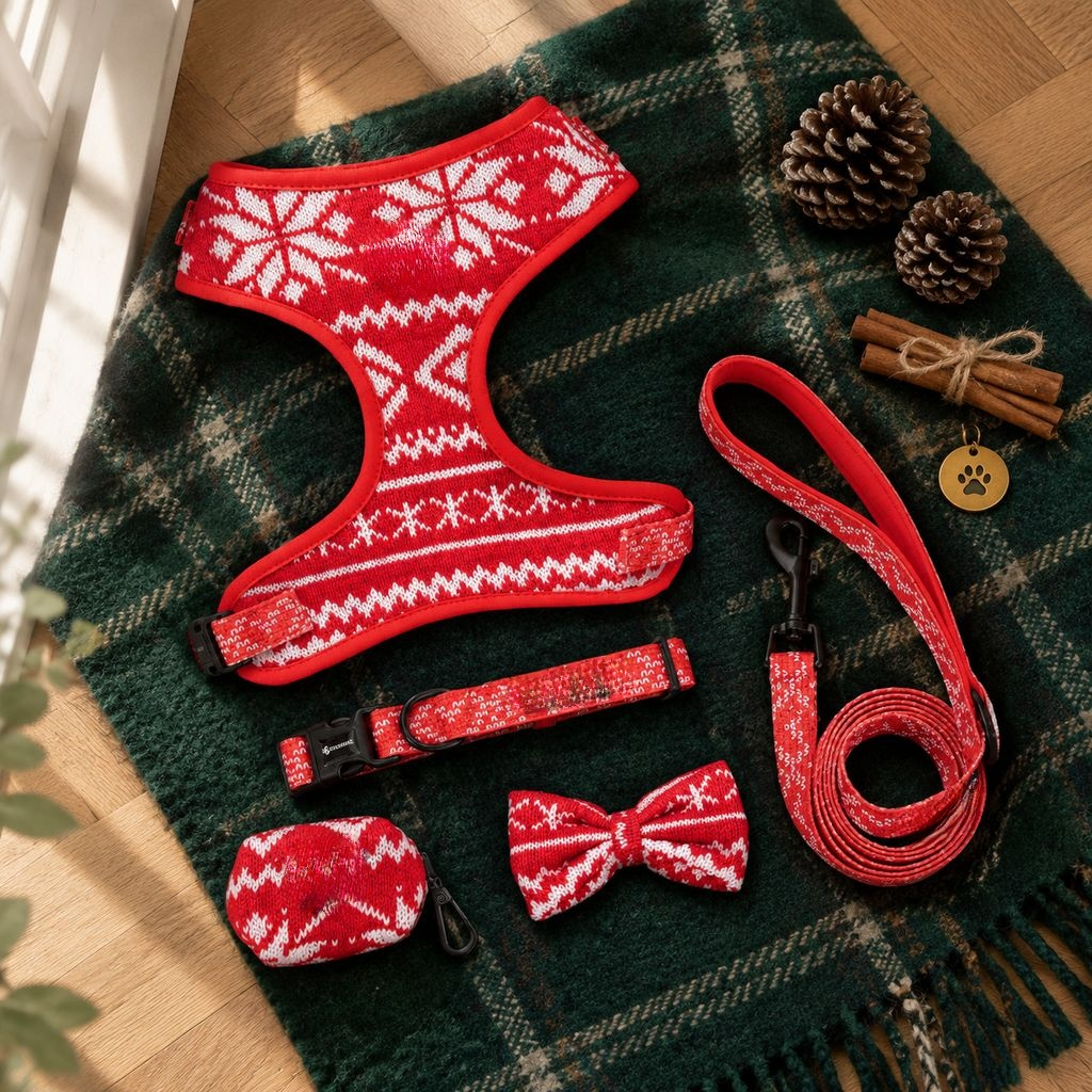Pet Dog Walking Leash and Collar Accessories Set