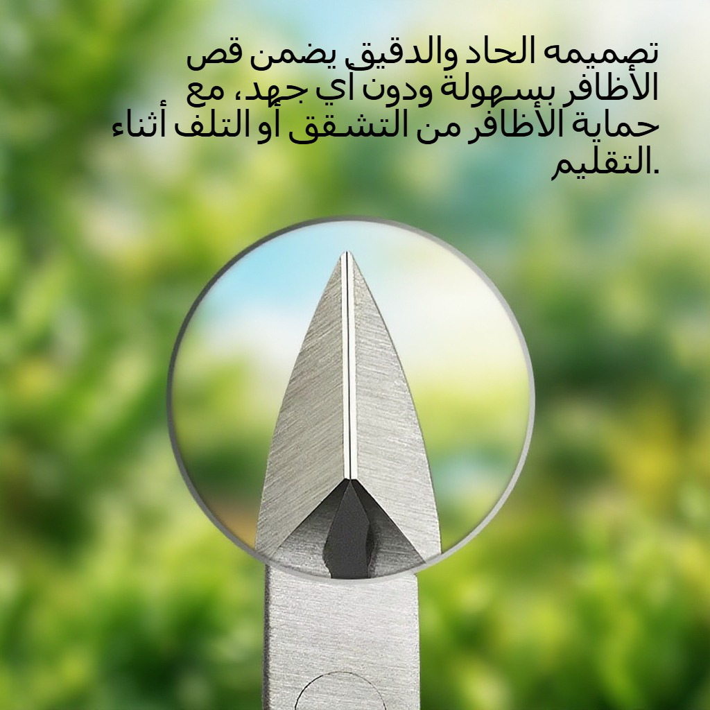 الفولاذ المقاوم للصدأ مسمار كليبرز الزجي