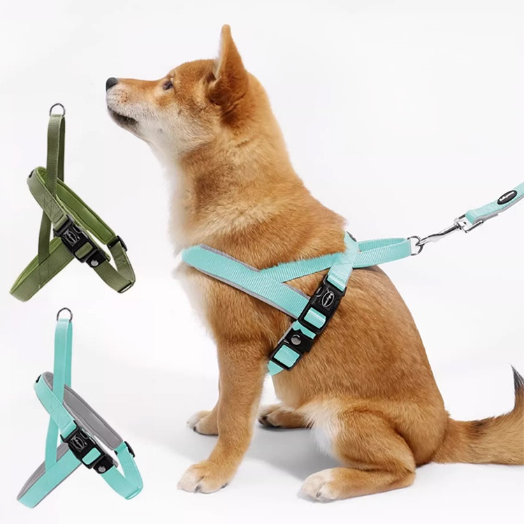 中型犬專用胸背帶