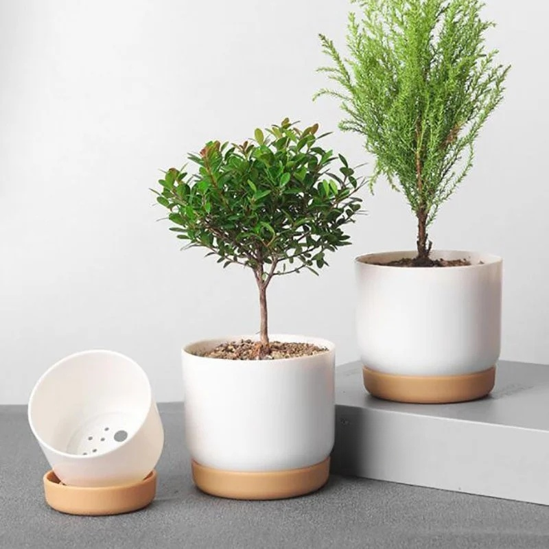 陶器の植木鉢