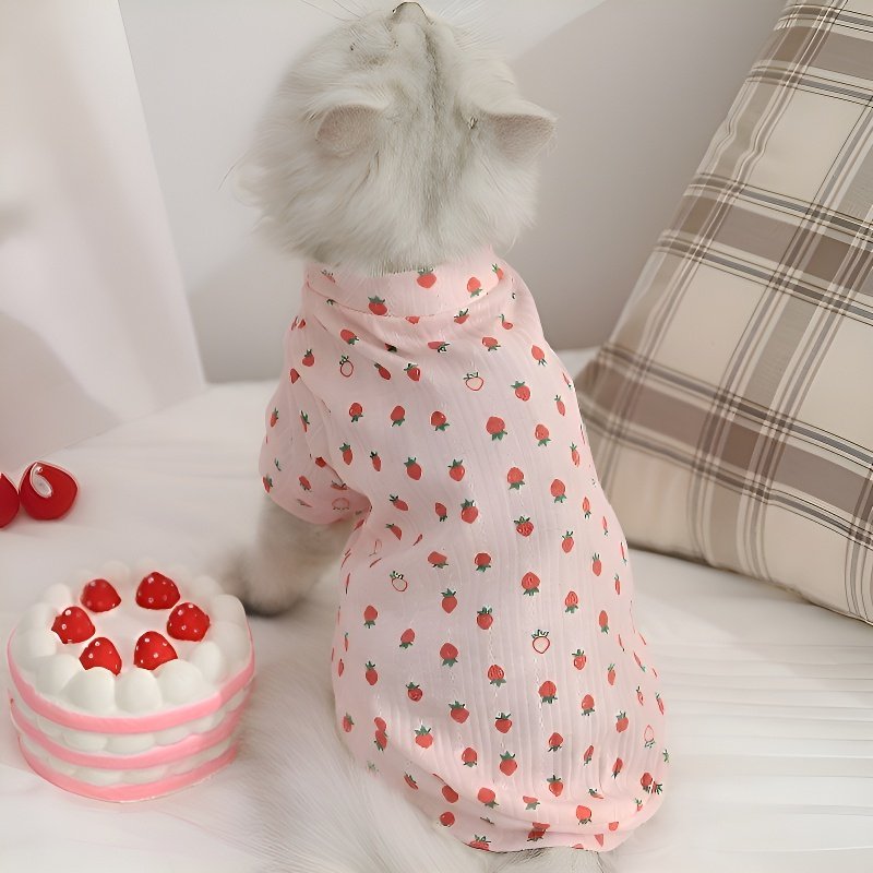 เสื้อผ้ากันขนร่วงสำหรับแมว