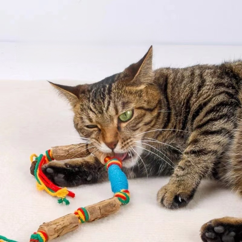 Pet Cat Matatabi Interactive Toy Lucky Rope