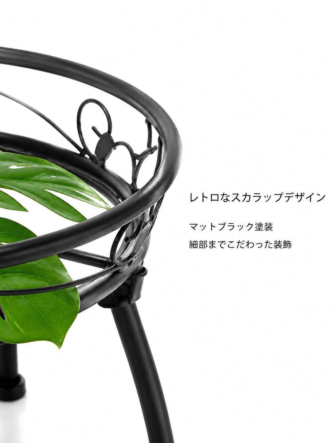 室内設置例・観葉植物ディスプレイ