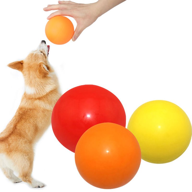 ペットがおもちゃを噛む