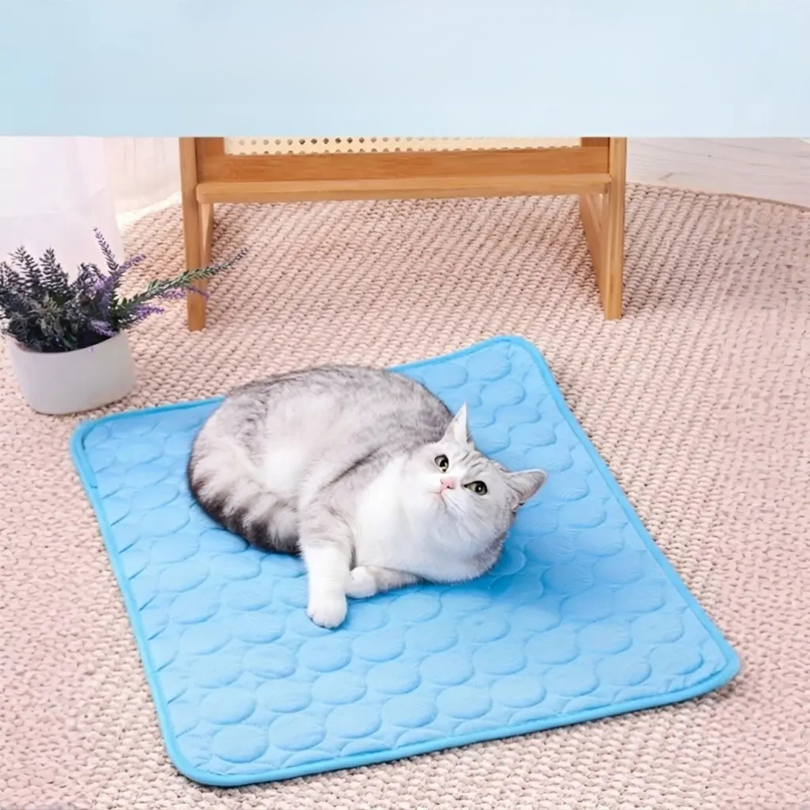 Pet Cooling Sleeping Mat