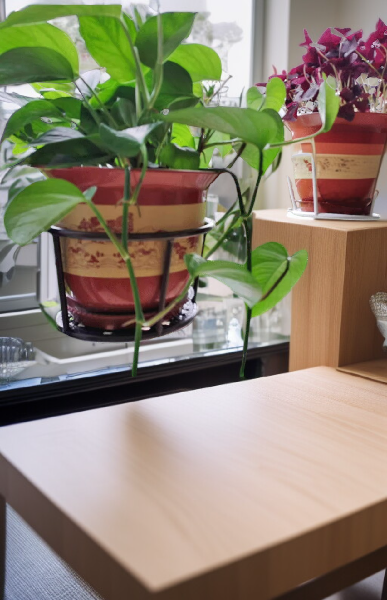 نبات زهرة محطة الطاقة كديكور عصري