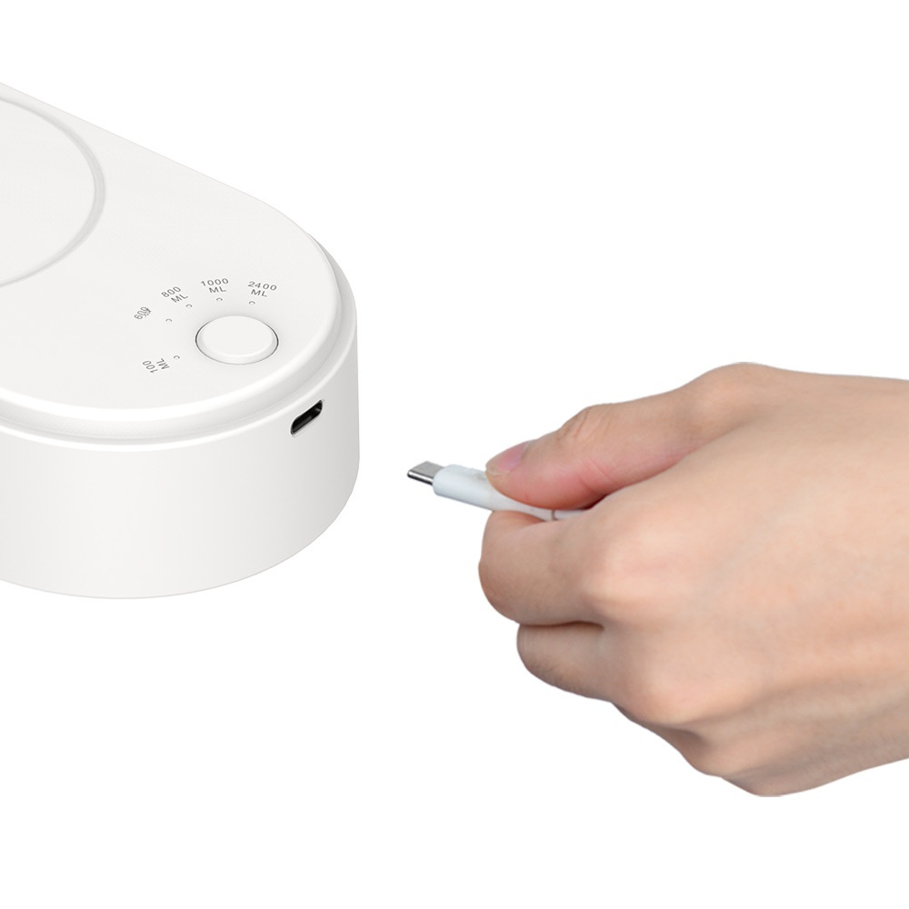 Household portable water pump