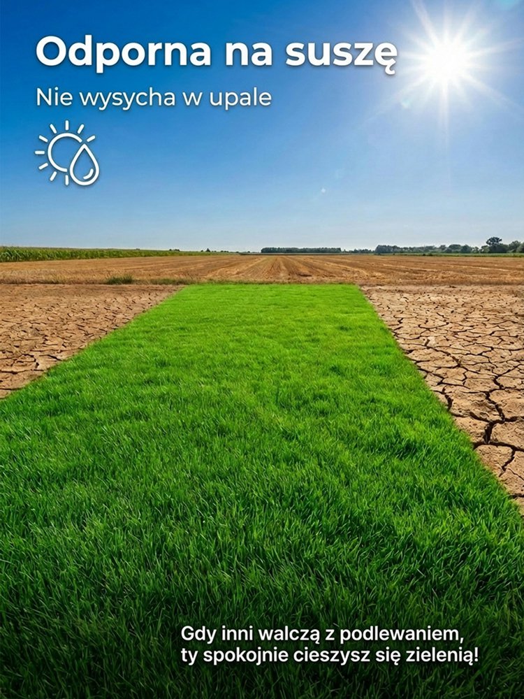 【Kiełkowalność 99%】Całoroczne mrozoodporne nasiona trawy na trawnik