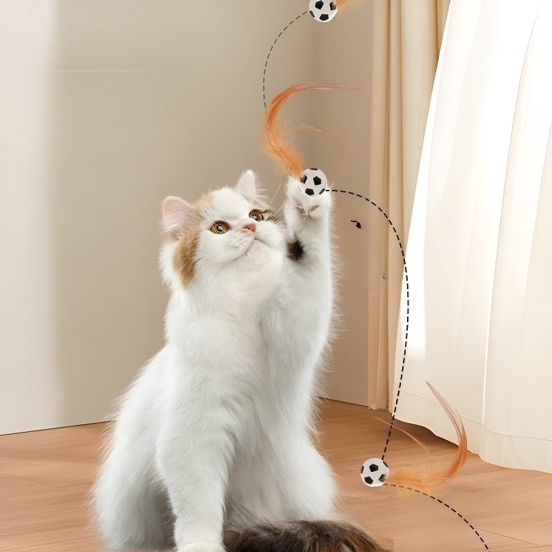 弾力鶏の毛玉猫の娯楽自分で憂さ晴らしてインタラクティブボールを投げます