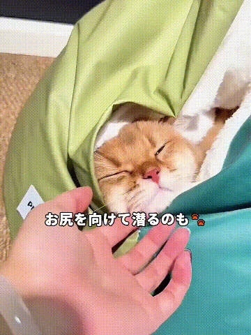 TikSao_769406755888402.gif