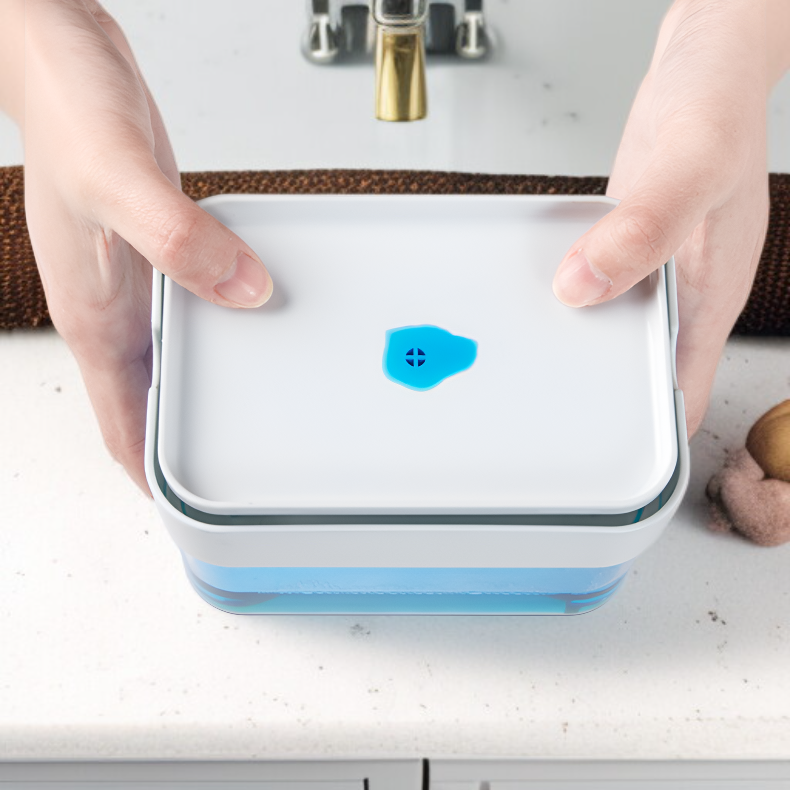 Easy press soap pump and sponge holder combination