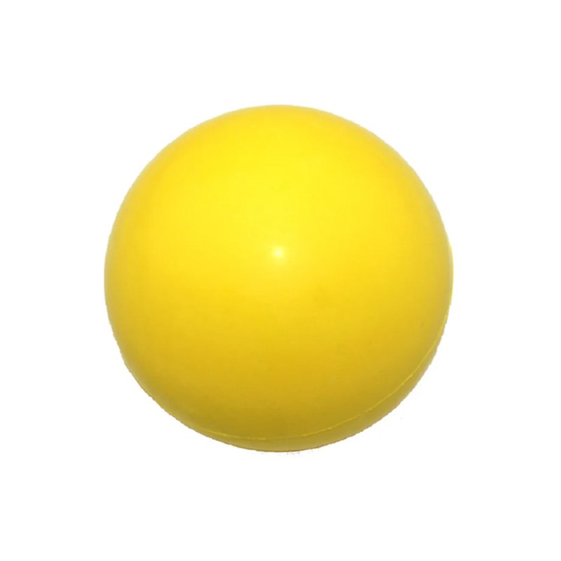 애완동물이 장난감 개공을 씹다