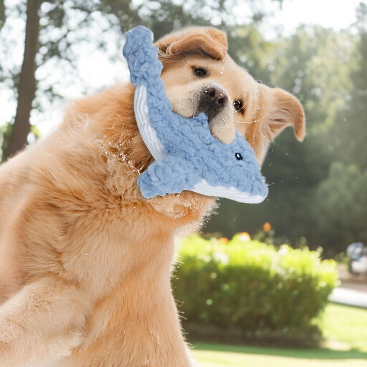 犬用おもちゃ、ぬいぐるみ、鳴る、歯ぎしり、噛み応え、退屈解消、テディ、コーギー、ビション、ゴールデンレトリバーのペット用品