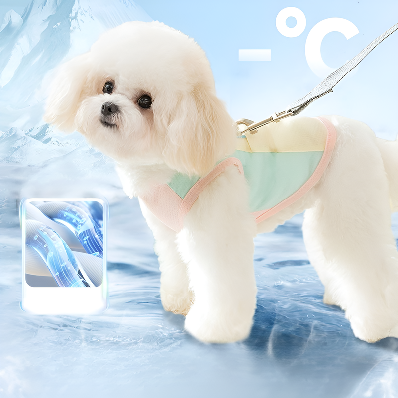 犬用薄手ベスト