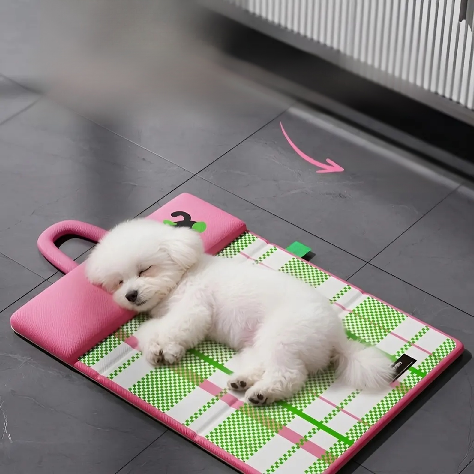 Portable Foldable Pet Bed