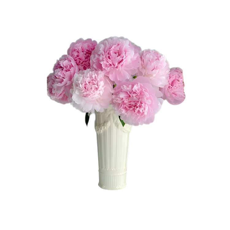 봄에 새로 심은 화분 속 작약