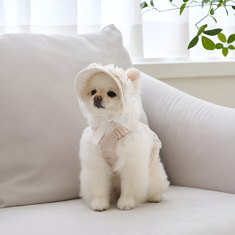 犬や猫に適した麦わら編みの豚鼻帽子