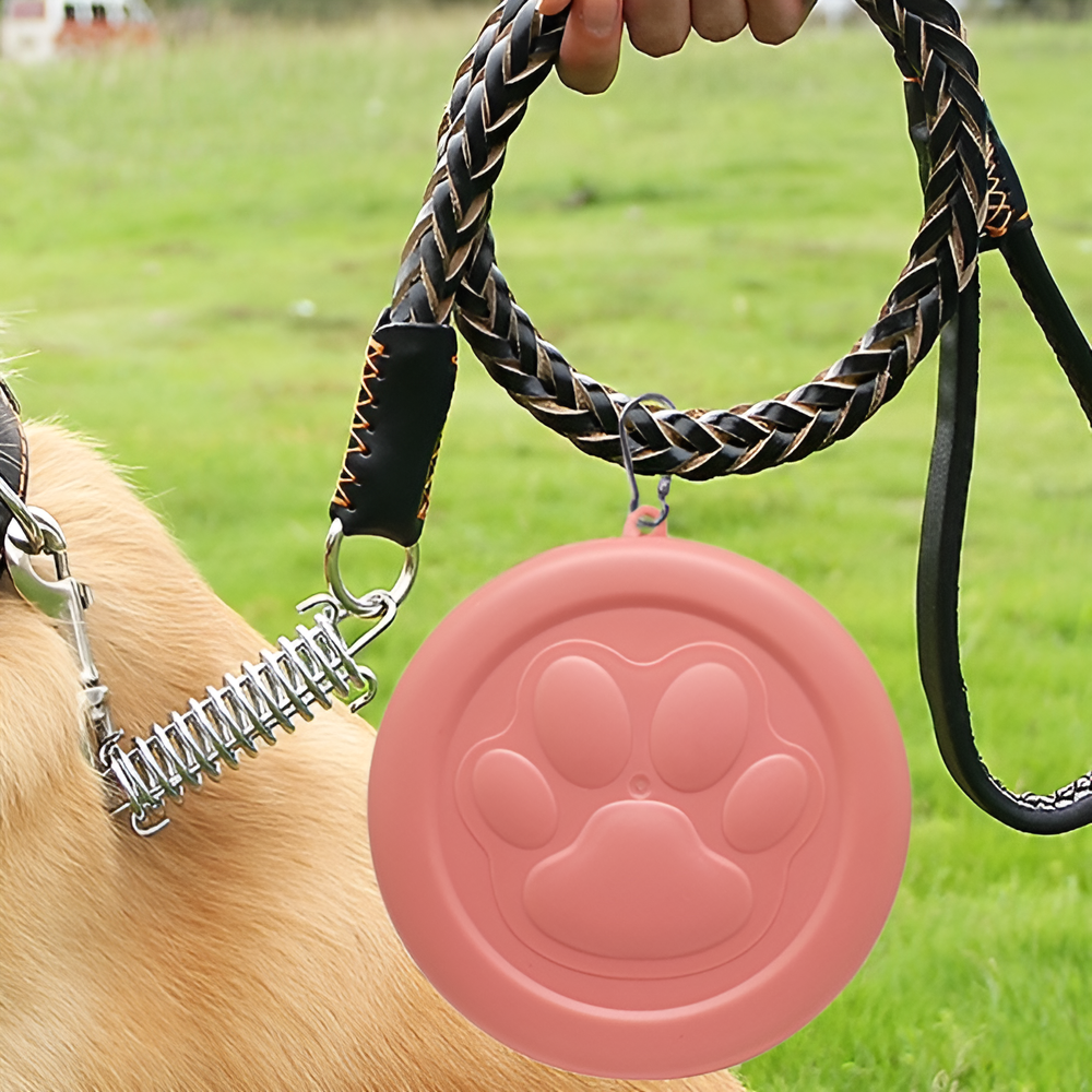 Outdoor tragbare Hundefutterschale und Snackdose