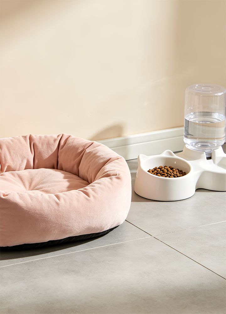 Online-Einkaufszentrum